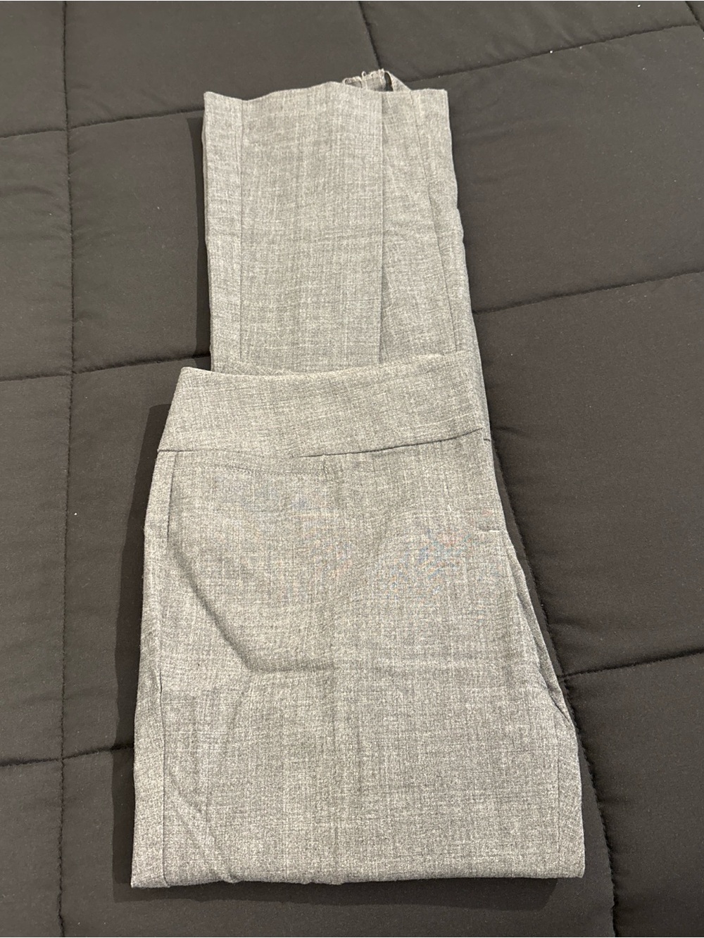 Express Light Gray Women's Dress Trousers